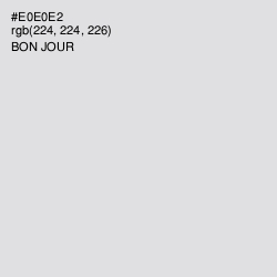 #E0E0E2 - Bon Jour Color Image